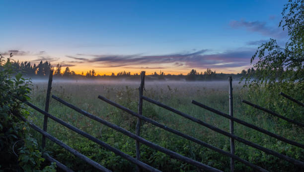 Meadow at night in Estonia