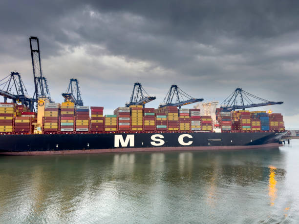 Felixstowe, England - September 4, 2024: MSC container ship docked at Felixstowe. Towering cranes unloading the cargo. The quiet port atmosphere contrasts with the massive ship.