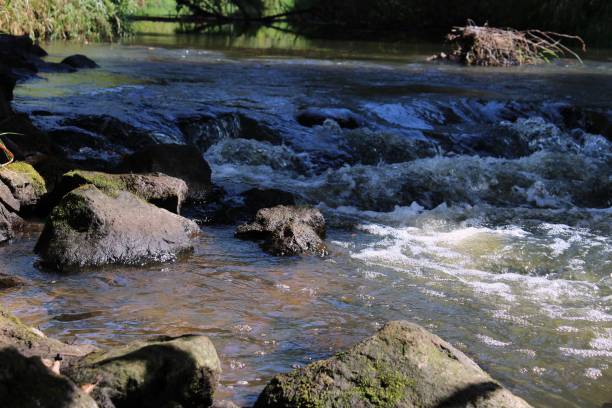 istock water cascading over babbling brook river stream rocks nature background 2175044476