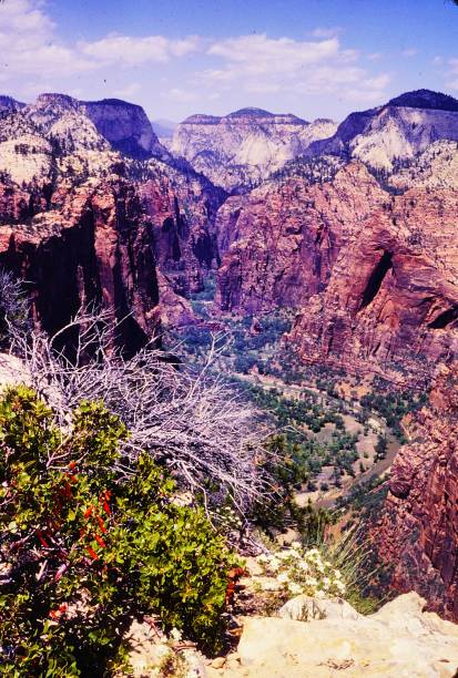istock Observation Point Zion National Park Utah June 1982 2175052814