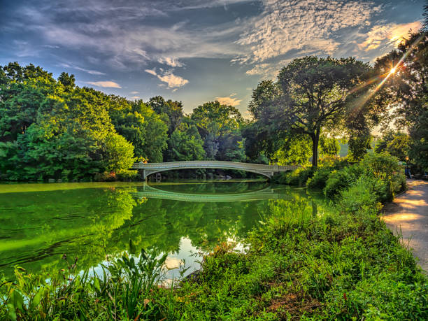 istock Bow bridge, early morning late summer 2175052902