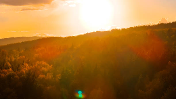 AERIAL, LENS FLARE: Spectacular view from above of autumn colored forest illuminated by golden evening light. Gorgeous golden sunbeams shine on sprawling Slovenian woodland turning leaves in October.