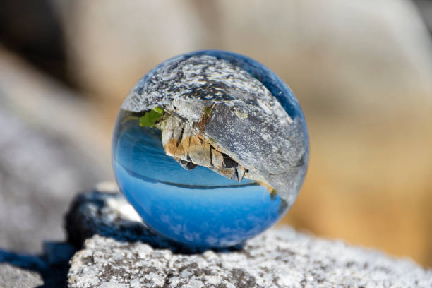 A close up image of a photographic lens tool reflecting an inverted image of a rocky shoreline and clear blue ocean.