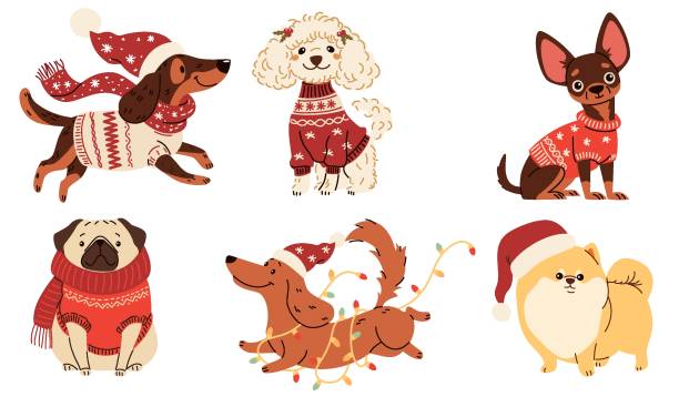 print - čivava ilustrace stock ilustrace