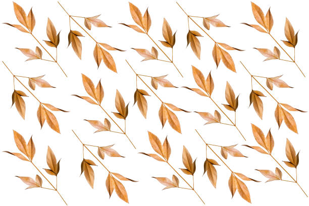 Extreme close-up of leaf vein skeleton on gold leaf.