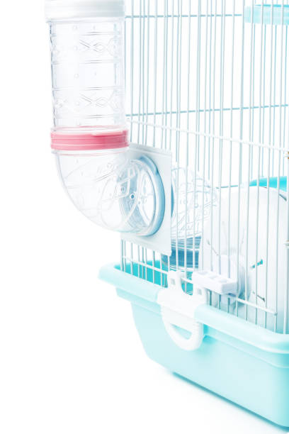 istock Pet cage showcases a neat design and easy access for small animals in a bright setting 2175082876