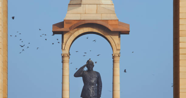 Delhi, India. Birds flying around of Statue of Subhas Chandra Bose. Netaji's Statue, is a monolithic statue made of black granite, dedicated to Netaji Subhas Chandra Bose, Indian freedom fighter and Commander-in-Chief of Indian National Army. Close up, details. delhi, india. birds flying around of statue of subhas chandra bose. netaji's statue, is a monolithic statue made of black granite, dedicated to netaji subhas chandra bose, indian freedom fighter and commander-in-chief of indian national army. close up