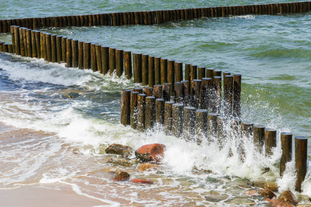 istock An old wooden breakwater structure and breaking waves at Baltic Sea 2175083483
