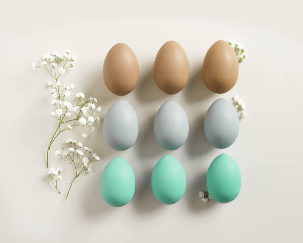 istock Easter Eggs pattern with White Gypsophila flowers on Light beige Background. Dyed colorful eggs in pastel colors, spring holiday photo, tender soft hues, flatly of celebration food and white blooms 2175087552