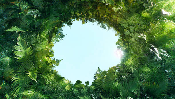 istock 3D rendering of a circular water surface surrounded by fresh greenery, symbolizing harmony, sustainability, and the potential for eco-friendly messages 2175087668