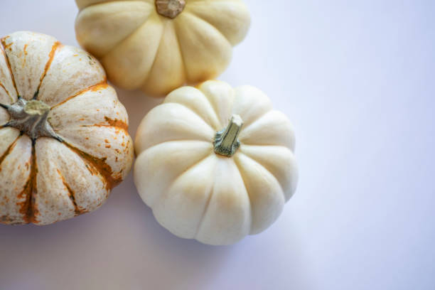 This is a close up photo of three white pumpkins on a wood table background. There is space for copy. This is a nice high key image that would work well for autumn, Thanksgiving and a holiday Halloween season in the fall.