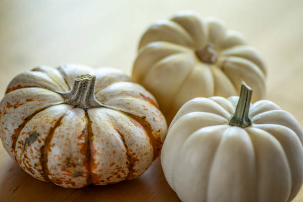 This is a close up photo of three white pumpkins on a wood table background. There is space for copy. This is a nice high key image that would work well for autumn, Thanksgiving and a holiday Halloween season in the fall.