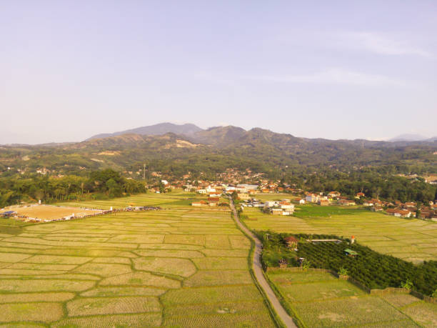 istock Football field in the middle of rice fields 2175093232