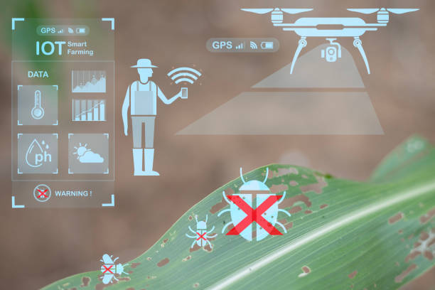 istock Managing leaf-eating insects in corn plants through cutting-edge technology ensures healthier crops and higher yields. 2175117420