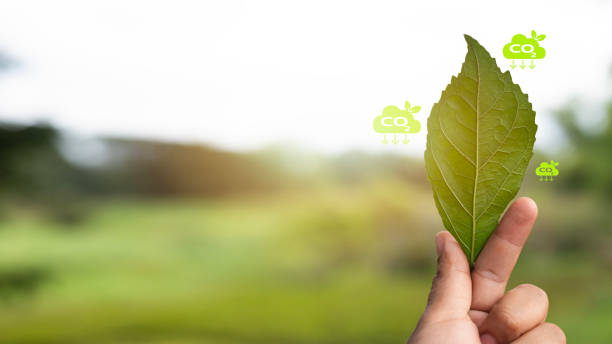 istock A human hand holds a green leaf with a CO2 cloud icon 2175117498
