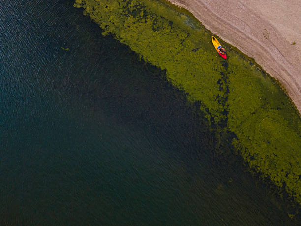 istock Waterborne Adventure. Kayaking Trip at Sunset, Aerial View. 2175117836