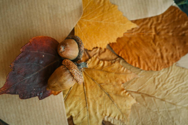 Envelope with autumn leaves, autumn mood.