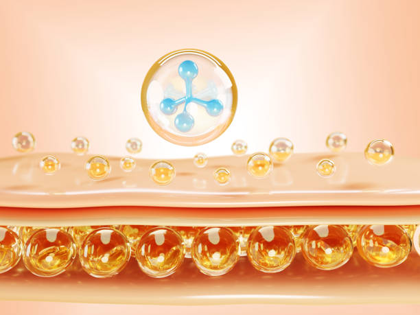 istock 3d skin cell structure with collagen serum drops and water molecule render. Epidermis layer with adipose tissue and liquid cosmetic oil bubbles. Face and body moisture essence care 2175141600