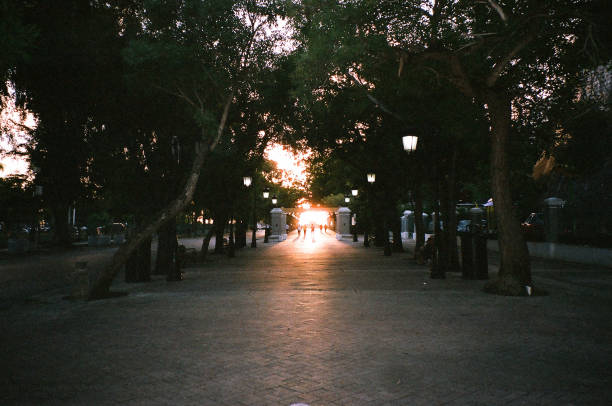 The Alameda Apodaca y Marques de Comillas is a beautiful promenade in Cádiz, Spain
