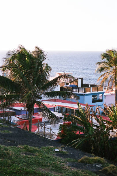 istock Tropical Coastal View with Swaying Palm Trees and Colorful Buildings 2175150021