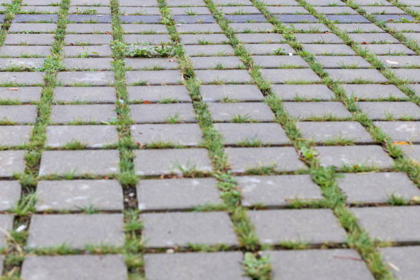 stone pavement in the park in different colors