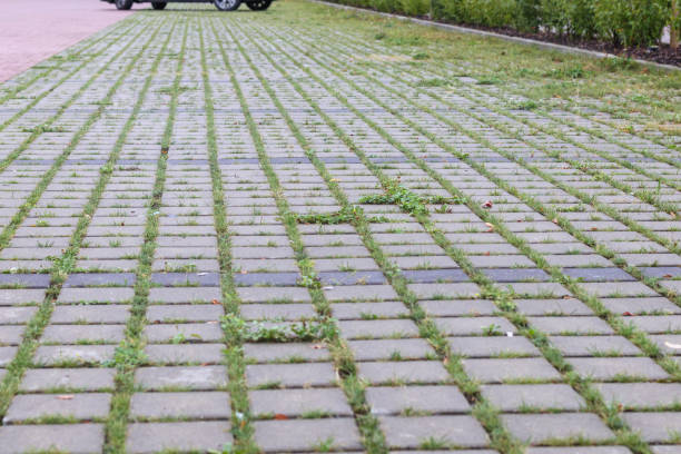 istock .stone pavement in the park in different colors with grass through the gaps 2175152679