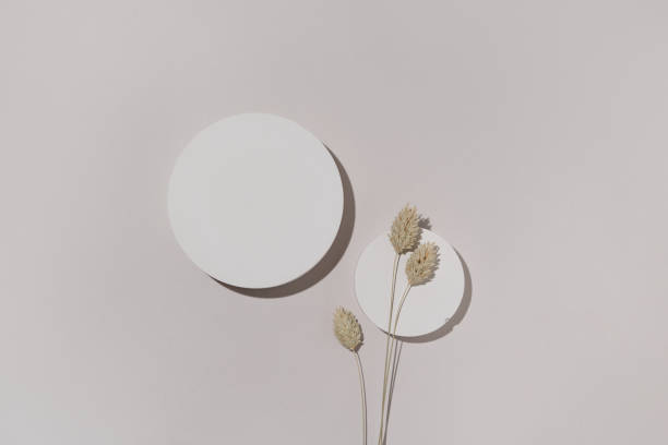 istock Minimalist Product Display Scene with Dried Summer Grass and White Circles - Flat Lay 2175154024