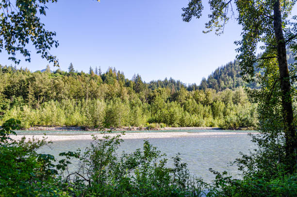 istock Mesmerizing view of the Vedder River winding through Chilliwack, BC, Canada 2175154851