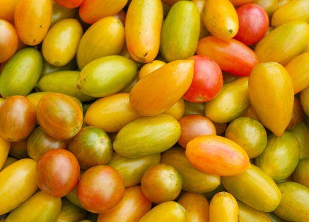 istock tomato in a pile as food background 2175157303
