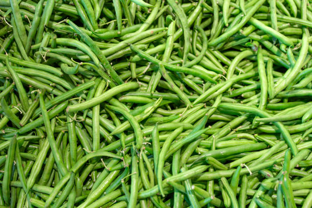 istock green beans as food background 2175157333