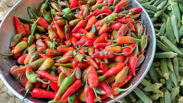 istock fresh vegetables in supermarket closeup view 2175157949