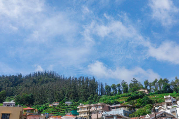 istock Landscape With Trees And Blue Sky 2175173127