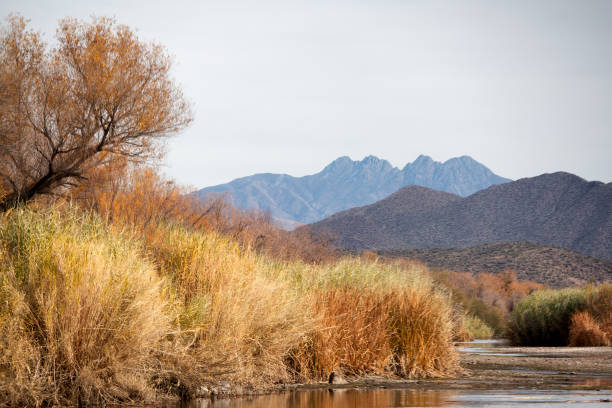 istock Outdoor landscape along the Salt River, Phoenix 2175176775