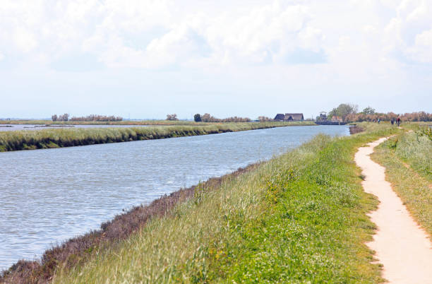 istock cycle path on the river bank with the lagoon in the plain in summer 2175179609