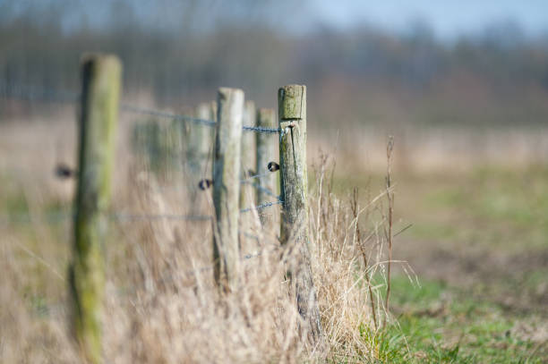 istock close-up of a Wire Fence 2175180700