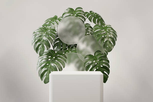 istock 3D rendering abstract platform podium with monstera plant product presentation background 2175190365