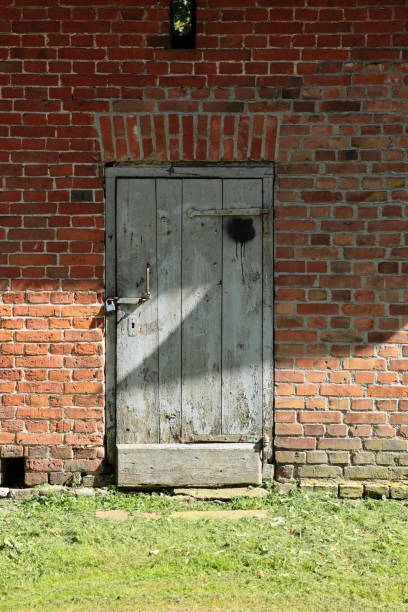 Old wooden door in a brick wall