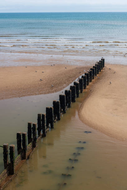 An old seaweed-covered groyne stretches out towards the distant sea on Bridlington beach in England.