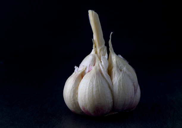 Garlic Cloves and Bulb on light rough background
