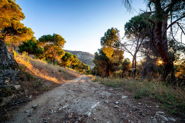 istock Dawn breaks on the path to the Garganta de la Pizarra 2175216535