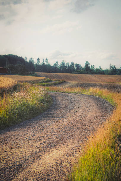 istock Close up of dirt road during autumn 2175217698