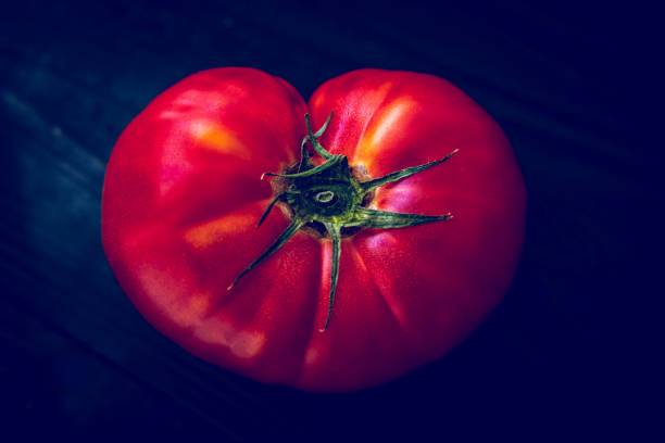 Tomato creative background