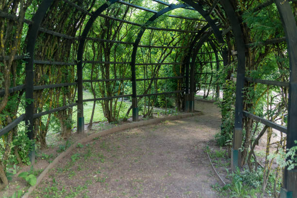 istock view from inside a shady pergola in a park 2175221468