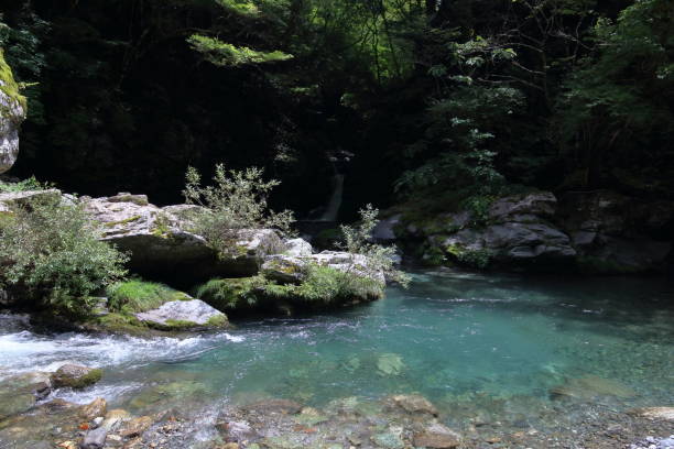 istock Cool off in a beautiful river, Oku-Iya in summer (Miyoshi City, Tokushima Prefecture) 2175226561