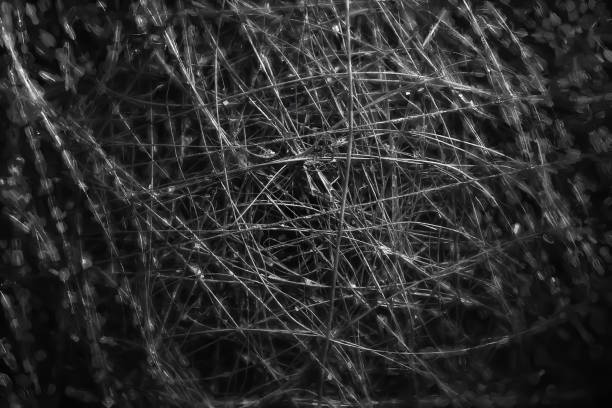 Tangled wire close-up. Abstract background. Macro image of a wire. Highly textured image