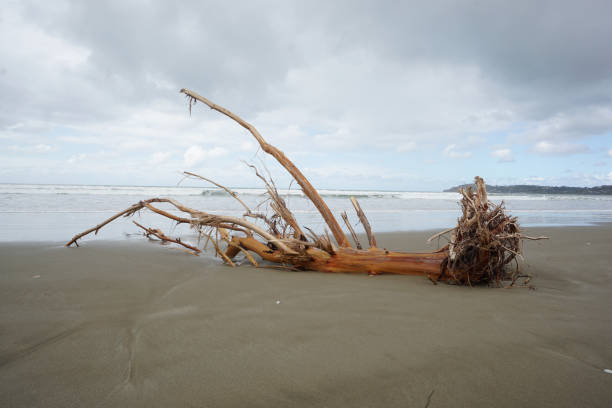 istock New Zealand Photography 2175229678