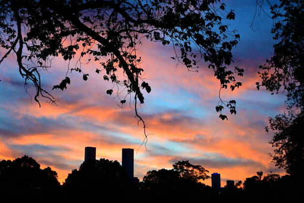 A view of sunset above  the Toronto , Canada.