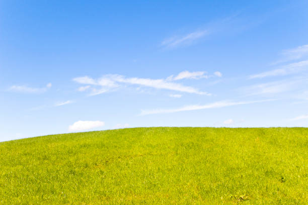 Idyllic grassy hill with blue cloudy sky, an alpine pasture in Upper Bavaria.