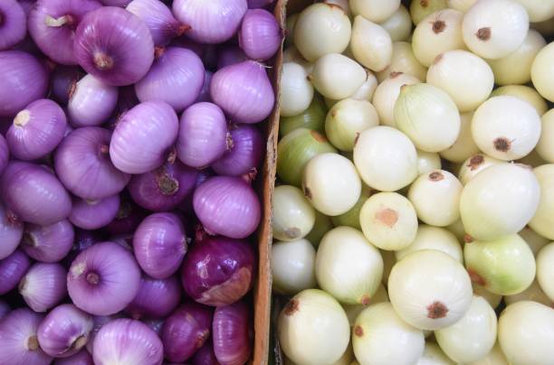 Onion and Red Onion in Fresh Market.