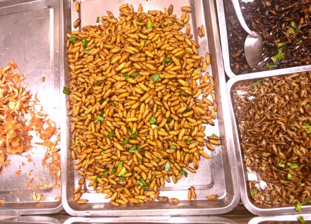 Fried insects - Bangkok Street food.